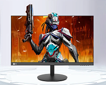 24" Монитор Lenovo LeCoo N2521 черный [1920x1080 (FullHD)@180 Гц, IPS, LED, 1000:1, 250 Кд/м², 178°/178°, DisplayPort 1.2, HDMI 2.0, Adaptive-Sync]