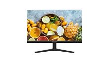 23.8" Монитор Hikvision DS-D5024F2-AV2 черный [1920x1080@100 Гц, VA, LED, 4000:1, 250 Кд/м², 178°/178°, HDMI, VGA]