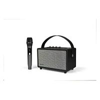 Портативная колонка Microlab KTV203 [30 Вт RMS, Bluetooth 5.0]