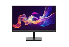 23.8" Монитор Hikvision DS-D5024F2-AP2 черный [1920x1080@100 Гц, IPS, LED, 1000:1, 250 Кд/м², 178°/178°, HDMI, VGA]
