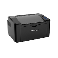 Принтер лазерный Pantum P2516 [черно-белая печать, A4, 600x600 dpi, ч/б - 22 стр/мин (A4), USB 2.0]